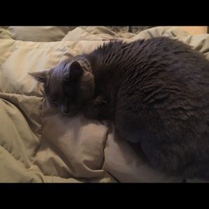 Meet your Posher, Natalie